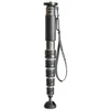 Image de Gitzo GM4562 eXact carbon monopod series 4