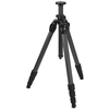 Image de Swarovski PCT professioneel carbon statief