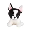 Image de Portia, Terrier b/w 15cm
