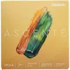 Image de D'Addario Ascenté Jeu complet de cordes pour alto A410 XXSM tirant moyen