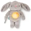 Image de Ingenuity, Peluche moelleuse Sylvi Cuddle Pal, apaisante activée par les pleurs, 10 mélodies relaxantes, lapin doux, 0+ mois, favorise la relaxation