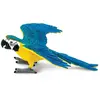 Image de Safari Ltd Figurine D'ara Bleu Or