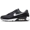 Image de Nike Air Max 90 Leather, Baskets pour femme, Iron Grey White Dk Smoke Grey Black, 40 EU