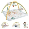 Image de Fisher Price Animaux Gym Sensimals
