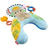 Image de Fisher-Price Coussin Sensoriel Jeu À Plat Ventre avec anneau de dentition et hochet, pour bébés dès la naissance, JHB44
