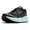 Image de BROOKS Cascadia 19 GTX, Sneaker Femme, 40.5 EU, Black Ebony Blue Flower, 40.5 EU