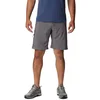 Image de Columbia Men's Silver Ridge Utility Short, Hiking Shorts, City Grey, W30/L8