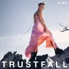 Image de Trustfall