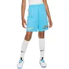 Image de Nike Unisex Kids Shorts Km K Nk Df Short, Baltic Blue/White, FD3147-416, XL