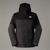 Image de The North Face Jazzi 3l Gtx Veste pour homme