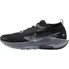 Image de NIKE Pegasus Trail 5 Gore-Tex Baskets Homme 46 EU, Black Wolf Grey Cool Grey Anthracite, 46 EU
