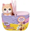Image de Moose Little Live Pets Chatte Surprise Maman