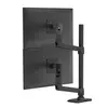 Image de Ergotron LX Dual Stacking Arm Tall Pole Matte Black 45-509-224