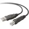 Image de Belkin F3U133b10 USB-kabel USB 2.0 USB-A stekker, USB-B stekker 3.00 m Grijs
