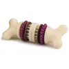 Image de PetSafe - Jouet pour Chien Busy Buddy Bristle Bone (S), Jouet Dentaire avec Friandise   Brosse à Dents pour Chien