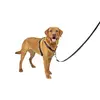 Image de PetSafe Harnais 3-en-1 pour Chien - Ceinture de Sécurité pour Voiture - Anti-Traction   Confortable, Coutures Réfléchissantes   Noir, L