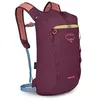 Image de Daylite Cinch Moody Burgundy OS