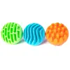 Image de Fat Brain Toys Rouleaux Sensoriels Balles Sensorielles