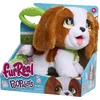 Image de Just Play Nounours Furreal Poop-a-lots-king Charles Spaniel Interactive