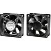 Image de Sunon EE60251B1-A99 Axiaalventilator 12 V/DC 39.91 m³/h (l x b x h) 60 x 60 x 25 mm