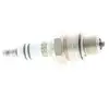 Image de BOSCH Bougie d'allumage pour VOLKSWAGEN: Transporter, Coccinelle/Beetle, Iltis/181, 1500, Karmann GHIA & SEAT: 600 (Ref: 0 242 229 534)