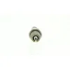 Image de BOSCH Bougie d'allumage pour OPEL: Astra, Zafira, Corsa, Mokka, Signum, Meriva, Combo, Vectra, Insignia, Tigra, Agila (Ref: 0 242 229 699)