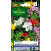 Image de Vilmorin 5165541 Belle de Nuit variée, Multicolore, 90 x 2 x 160 cm