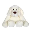 Image de Gipsy Peluche - Chien Flatoutou Blanc - 50 cm