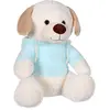 Image de Sweat friends color 40 cm - chien bleu clair