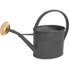 Image de GUILLOUARD Arrosoir en Acier galvanisé avec Pomme 1.75 litres