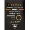 Image de Clairefontaine 975317C - Un bloc encollé 1 côté de papier dessin Etival 15 feuilles 14,8x21 cm 300g double grains (recto grain fin et verso grain torchon), Noir