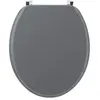 Image de Wirquin 20717953 Abattant WC en fibre de bois Woody en forme U, gris clair