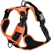 Image de Bobby Rando Walk Harnais pour chien, petit chien, en nylon, sûr, confortable, réfléchissant, réglable, orange, S/32-48 x 1,6 cm