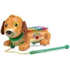 Image de VTech - Elton, Mon Rouli Xylophone, Chien Interactif à Promener, Xylophone Lumineux 2 en 1, Instrument de Musique Bébé, Jouet à Tirer, Cadeau Enfant Dès 18 Mois - Contenu en Français