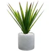 Image de Atmosphera - Aloe vera artificiel - pot en céramique - H48 cm
