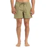 Image de Quiksilver Boardshort EVERYDAY BEACH VOLLEY 15 Hommes Beige S, Aloe, S