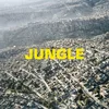 Image de Jungle