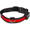 Image de Eyenimal Collier Lumineux S Rechargeable Usb Rouge pour Chien