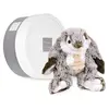 Image de Histoire d'Ours Peluche Lapin Marius 20 cm