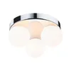 Image de Paulmann 71062 Plafonnier Selection Bathroom Gove IP44 G9 230 V max. 3x20W gradable Chrome, Satin luminaire de salle de bain