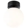 Image de Paulmann 71072 Plafonnier LED Selection Bathroom Gove IP44 3000K 900lm 230V 9W Noir mat, Satin luminaire de salle de bain