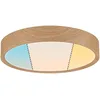 Image de Paulmann 71085 Plafonnier LED Selection Bathroom Tega IP44 White Switch 1200lm 230V 22,5W Esthétique bois luminaire salle de bain lampe salle de bain