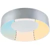 Image de Paulmann 71094 Plafonnier LED Casca IP44 White Switch 2300lm 230V 18W Noir Alu rond gradable Métal, plastique 3000 K