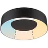 Image de Paulmann 71096 Plafonnier LED Casca IP44 White Switch 2300lm 230V 18W Noir rond gradable Métal, plastique 3000 K