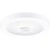 Image de Paulmann 71179 Volea LED-plafondlamp LED LED 4 W, 18.5 W Wit, Zilver
