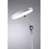 Image de Paulmann NUMIS 79884 LED-tafellamp LED 11 W Wit