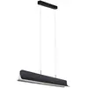 Image de Paulmann Noyan 79982 LED-hanglamp LED 24 W Antraciet