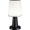 Image de Paulmann Ilanga 94611 Tafellamp op zonne-energie LED 2.1 W Antraciet