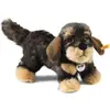 Image de Steiff Chien Basset Moritz, 76985, Gris Foncé, 30cm