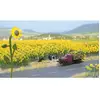 Image de Busch 6003 H0 zonnebloemen (60 stuks)